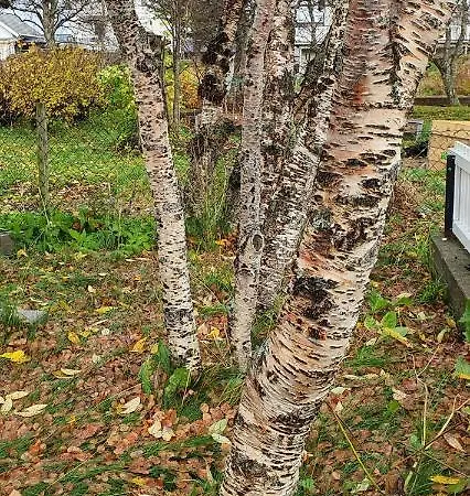 Your Place To In Lofoten At Our Family House! *